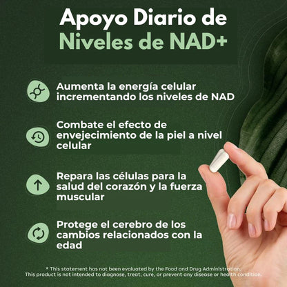 ActiveLife® NAD+ de Alta Pureza Anti-Envejecimiento