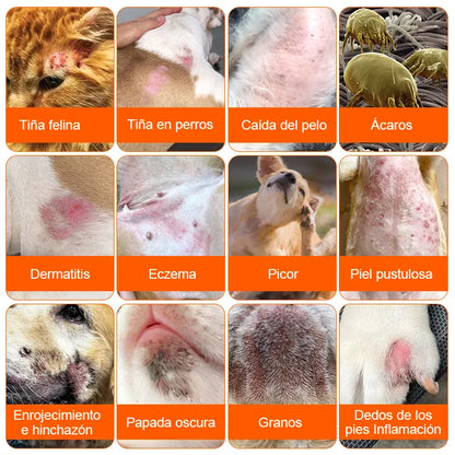 Spray para el tratamiento de la piel de perros y gatos- ELIMINA BACTERIAS EN 15 DIAS✅