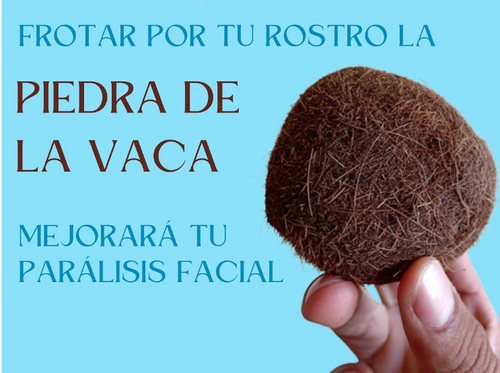 Piedra de la Vaca- Elimina parálisis facial en tiempo récord✅