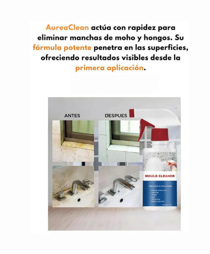 Oferta especial💥Quitamanchas multiusos con ácido oxálico, limpieza y quitamanchas de azulejos de inodoro y baño.🔥250ML